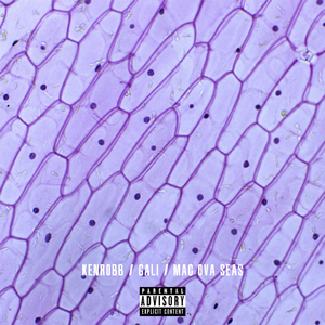 女生开过包以后电影
